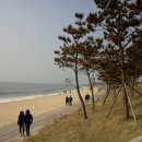 대천해수욕장 이미지