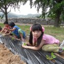 내북초교 병설유치원 이미지