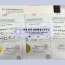 비채 번역일반행정사사무소 네이버블로그