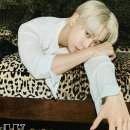 더블유시티 이미지