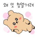 꼬마강아지 이미지