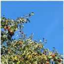 사랑으로방문요양센터 이미지