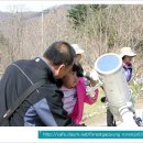 조종초등학교(병설포함) 이미지