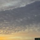 새벽밥상 | 여수 가성비 게장정식 "순이네밥상"에서 꽃게탕 정식 내돈내산 후기!