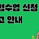 캥거루풋볼