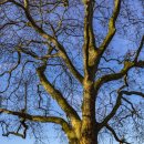 런던파크 이미지