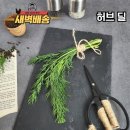 딜 이미지