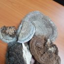 뽀빠이약국 이미지