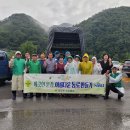 백일홍거리 경북매일