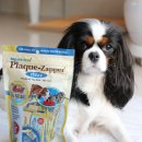 싸다구펫 이미지