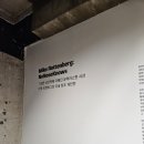 용산-248 | [현대카드 스토리지] 미카 로텐버그: NoNoseKnows ,전시 후기, 전시 추천