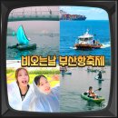 부산항축제 비오는날 물놀이 꿀팁 자갈치 크루즈여행