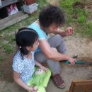 하임농장 이미지