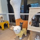 달콤하니냥 이미지