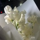 이마트24 사동중앙점 | 2026년 3월 일상