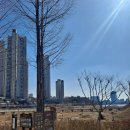 광교SK단지내공인중개사사무소 이미지