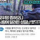 어김없이 영상 올린 EBS 유튜브 다큐 채널 이미지