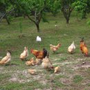 유정농장 이미지