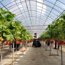 인천농장 이미지