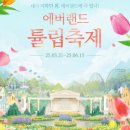 튤립 이미지
