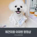 멍멍샵 이미지