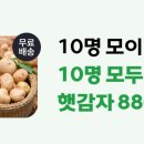 어플 팔도감 팀구매로 햇감자 2kg 또는 밤호박 650g 880에 먹자 이미지