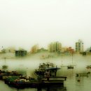 수수께끼 이미지