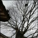 남천고을 이미지