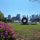 2025 고양국제꽃박람회 첫날 관람기 이미지