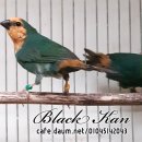 아성2농장 이미지