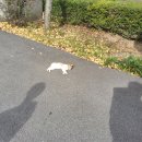 창선농장 이미지