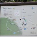 동백동산 이미지