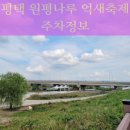 평택 원평나루 억새축제 | 평택 원평나루 억새축제 미리 다녀온 후기 + 주차