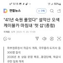 개발 승인 ㅡ 환경부 ㅡ 산림훼손 이미지