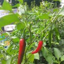 우리동내 이미지