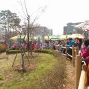 제2회 수궁동 벚꽃축제 및 주민한마당의 이모저모 이미지