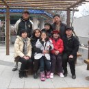 상옥프로폴리스 이미지