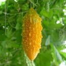 보두농장 이미지