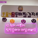 호돌이해물등뼈짐 이미지