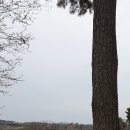 윤증묘소 이미지