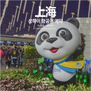 홍교종합신발 | 중국 상하이 항공권 항공권예약 팁 대한항공,아시아나,춘추항공,남방항공,동방항공