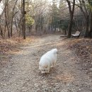 자룡농장 이미지