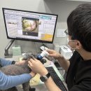 정직 동물병원 이미지