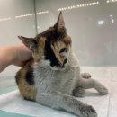 문곡보건진료소 이미지