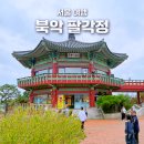 팔각정 입구 | 북악 팔각정 주차 카페 라면 북악스카이웨이 후기