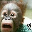 킹강정 이미지
