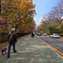 GS25 설악산점 이미지