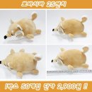 뽀바뽀바뽑기방 이미지