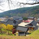 은해사성보박물관 | 팔공산 은해사, 가을 단풍 놓치면 후회할 숨겨진 보물,무료로 즐기는 천년 고찰 은해사 단풍