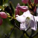 동물의왕국 동물병원 이미지